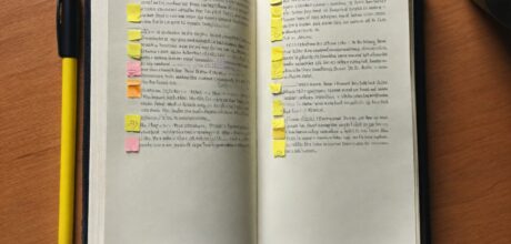 Temas para principiantes: guía completa para empezar